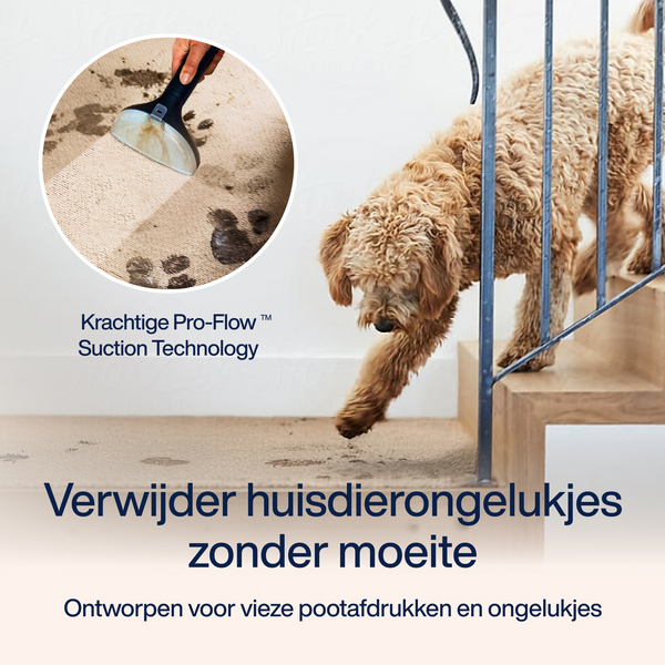 PowerClean Pro Stoom & Heet water Vlekkenreiniger
